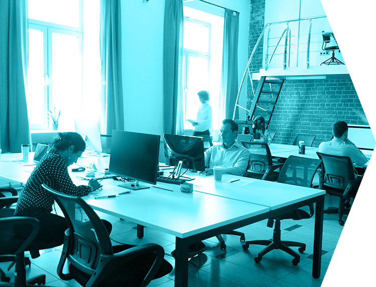 Male and female workers sitting in at their desks working in front of their computer screens in a open office with long tables.